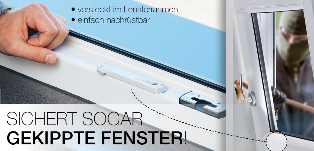 EiMSIG web Startseite GekippteFenster